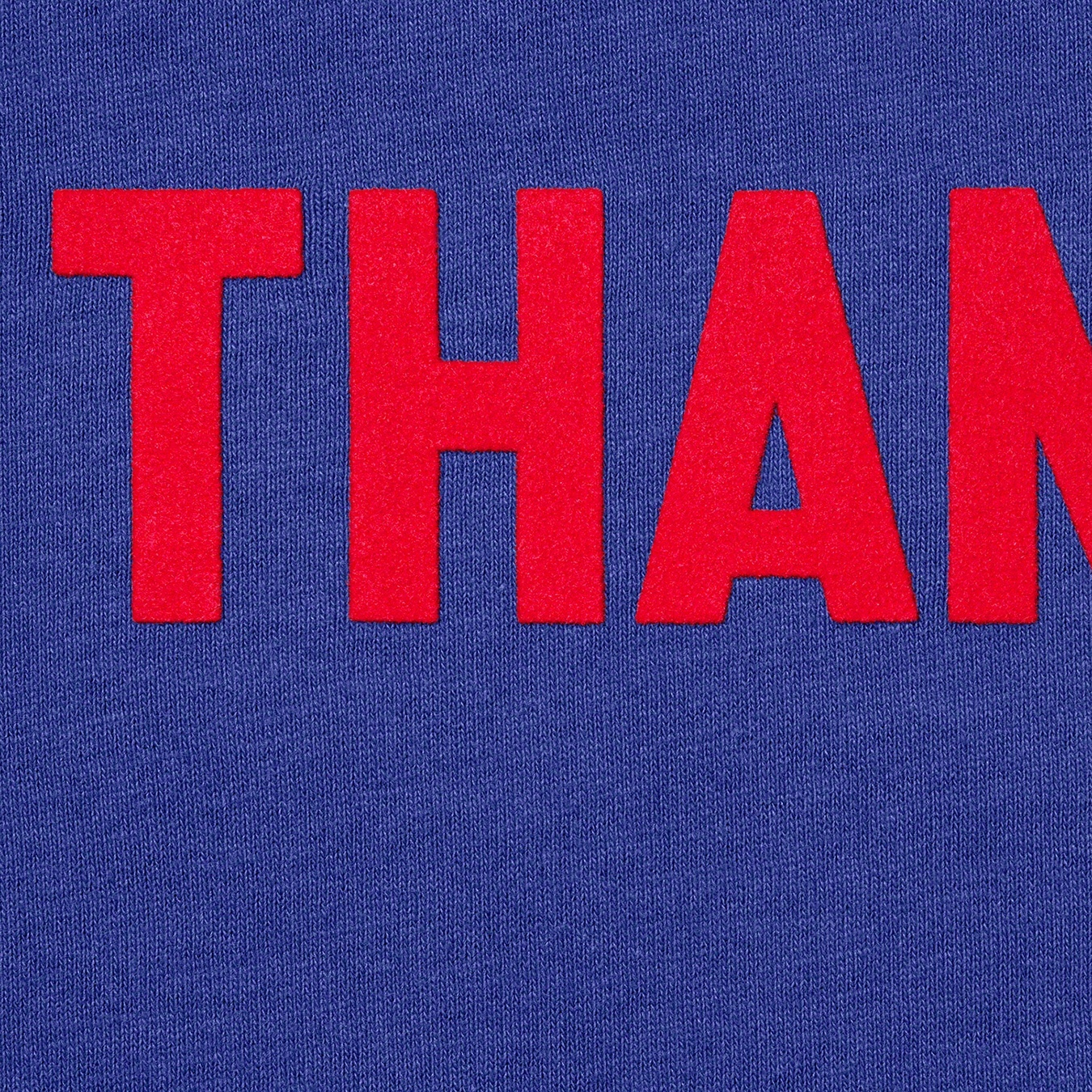 No Thanks S/S Top view 11